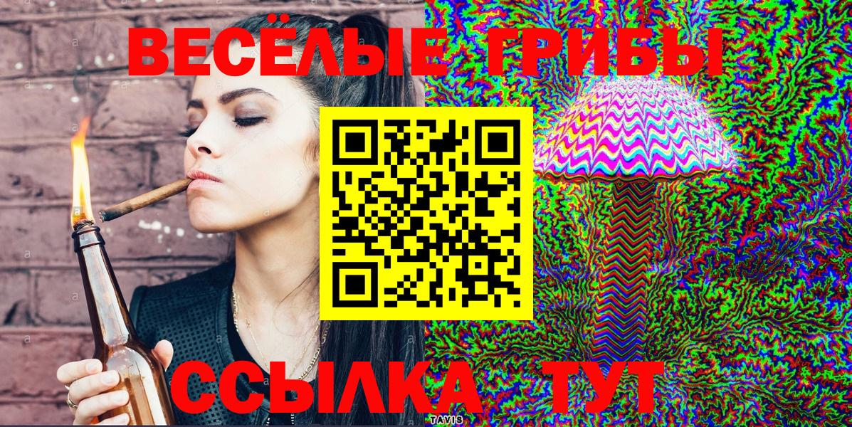 Галлюциногенные грибы прущие грибы Саяногорск